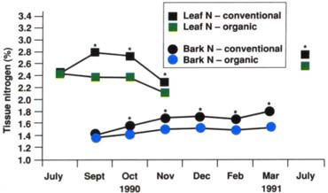 Fluctuations of nitrogen concentration in leaf and new wood bark over seven sample dates, 1990–1991.