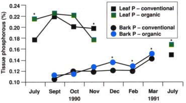 Fluctuations of phosphorus concentration in leaf and new wood bark over seven sample dates, 1990–1991.
