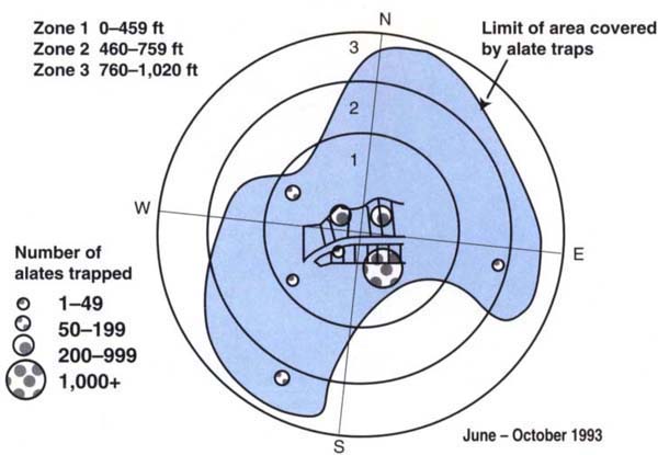Distribution of alate catches in sticky traps from June to October 1993, showing the distance and direction they flew. Gray shading indicates the area covered by the alate traps.