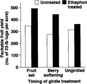 Influence of trunk-girdle timing and ethephon on the packable yield (lugs per acre) of ‘Crimson Seedless’ table grapes.