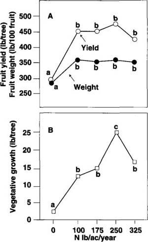 Effects of nitrogen fertllization treatments on (A) fruit yield and average fruit weight and (B) vegetatlve growth (over 10 feet). Data averaged for 1991 and 1992 seasons. Treatment means followed by the same letter are not significantly different (Duncan's multiple range test, P < 0.05).