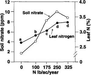 Leaf nitrogen (N) level and soil nitrates in nitrogen fertilization treatments. Leaf N values, averaged for 1991 and 1992 seasons, increased in higher N treatments. Treatment means followed by the same letter are not significantly different (Duncan's multiple range test, P < 0.05). There were no significant differences in soil nitrates (data collected in October 1991).