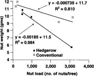 Relationship between individual nut weight and tree nut load.
