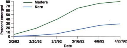 The average percent emergence of seedlings by date for Madera and Kern counties for the 1991 crop.