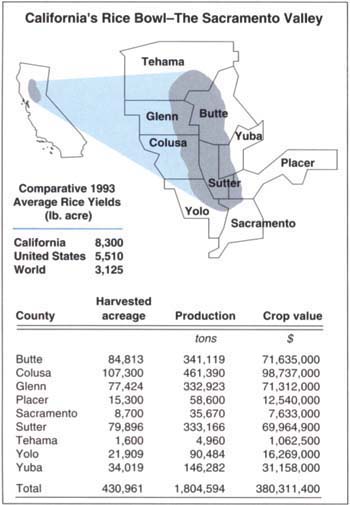Comparative 1993 California, United States and world average rice yields, and the distribution of 1993 California rice acreage in the major rice-producing counties of the Sacramento Valley. In 1993, San Joaquin Valley counties produced an additional 71,870 tons of rice for milling on 19,430 acres (area not shown). Sources: 1993 Agricultural Commissioners' Data, California Agricultural Statistics Service (August 1994); IRRI Rice Almanac.