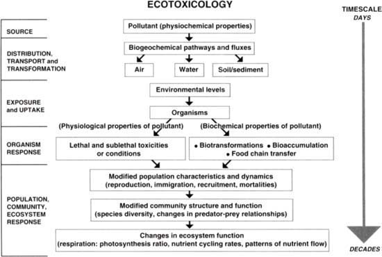 A diagram showing various levels at which toxic substances are studied in agricultural and other environments. The diagram is summarized from many sources that discuss the field of study that attempts to combine ecology and toxicology: ecotoxicology.