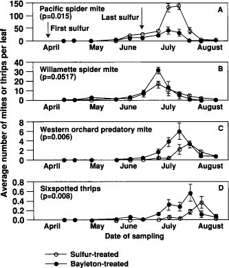 Seasonal abundance of Pacific spider mite (A), Willamette spider mite (B), western orchard predatory mite (C), and sixspotted thrips (D) on sulfur-treated and triadimefon-treated vines. Data are mean number of mites or thrips per leaf. Bars represent standard errors. ANOVA.