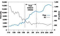 Flow and EC in the San Joaquin River near Vernalls showing period of peak wetlands discharge, Jan. 15-Feb. 29, 1996.