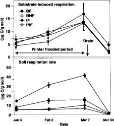 Substrate induced respiration and basal respiration over time in 1994. BF = burn flooded; BNF = burn not flooded; IF = incorporated flooded; INF = incorporated not flooded. Error bars are standard deviations of four replicate plots.