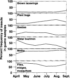Frequency of insects found in the Yuma myotis bat diet.