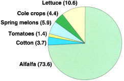 Relative acreages of major whitefly crops in the Imperial Valley.