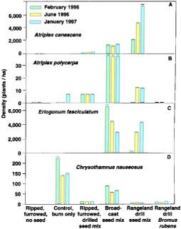 Effect of alternative direct seeding methods and component soil manipulations on seeded plant performance (density) of native shrubs A. canescens (A), A. polycarpa (B), E. fasciculatum (C) and C. nauseosus (D).