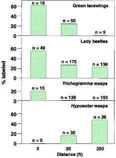 Percent Rb-labeled beneficial insects in the insectary hedgerow (0 ft) and in the adjacent vegetable crop at 20 ft and 250 ft (n = total number of insects captured).