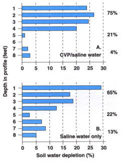 Soil water depletion (SWD) by sugarbeet plants by depth in the soil profile and cumulative water use by depth. SWD for 8 plots receiving a mixture of CVP and saline water (A), or CVP water only. SWD for 4 plots receiving only saline water (B).