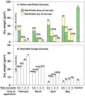 Effect of clopyralid rate and timing on summer (A) biomass of yellow starthistle and (B) desirable forage in Siskiyou County, 1997. Desirable forage consisted of annual and perennial grasses, and forbs other than yellow starthistle.