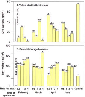 Effect of clopyralid rate and timing on spring (A) biomass of yellow starthistle and (B) desirable forage in Siskiyou County, 1998. Desirable forage consisted of annual and perennial grasses, and forbs other than yellow starthistle.