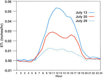 Hourly lysimeter evapotranspiration (ETL) on 3 days during the deficit irrigation phase.