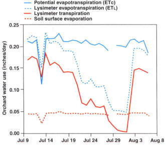 Daily estimated peach water use (ETc), lysimeter evapotranspiration (ETL), lysimeter transpiration and lysimeter surface evaporation during the deficit and recovery irrigation phases.