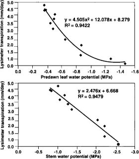 Relationships between lysimeter transpiration, predawn leaf water potential and midday stem water potential.