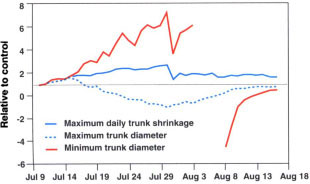 Values of maximum daily trunk shrinkage, maximum daily trunk diameter and minimum daily trunk diameter for the deficit irrigation treatment expressed relative to the control with time.