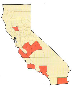 Counties that have greater proportions of students with limited English proficiency than the California average in 1998-99. Source: California Department of Education, 1999.
