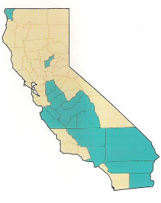 Counties that exceeded the California-wide teenage pregnancy rate in 1997. Source: California Department of Health Services, 1999a.