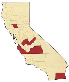 Counties that have rates of Medi-Cal-funded deliveries 50% greater than the California average in 1997. Source: California Department of Health Services, 1999b.