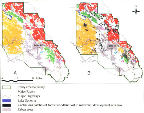 Patches of continuous tree cover before (A) and after (B) the maximum vineyard development scenario for the Sonoma County study area. Each patch is shown by a unique color.