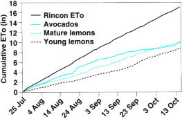 Cumulative ETo measurements in different orchards at La Conchita Ranch as compared to Rincon ETo.
