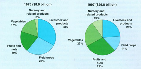 Composition of California agricultural production, 1975 and 1997. Source: CDFA 1999.