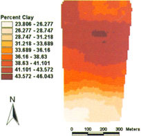 Interpolated map of clay content for the Winters field. The large area of high clay content indicates that low yield in this field may have been caused by aeration stress due to poor drainage.