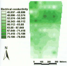 Soil electrical-conductivity map of the Winters field. These data are interpolated from inductance measurements recorded on an electrical-inductance meter and units are based on meter values.