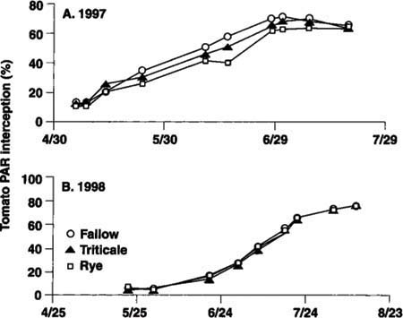 Tomato canopy interception of photosynthetically active radiation (PAR) by tomatoes in triticale and rye mulch and fallow plots in (A) 1997 and (B) 1998. No significant differences were found in either year at the 0.05 level.