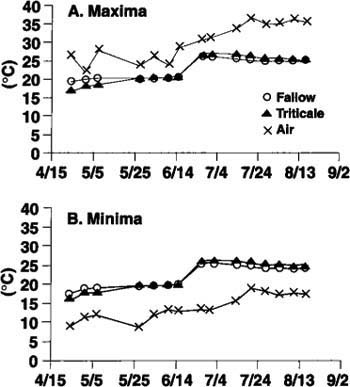 Effect of no-till triticale mulch and fallow standard tillage systems on soil temperature: (A) air and soil maxima and (B) air and soil minima (F = 1.8 (°C) + 32). Data are weekly averages during tomato growing season.