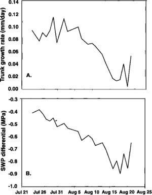 For almond trees subjected to irrigation at 50% ETc (June 16-Aug. 3, 1999) and water deprivation (Aug. 4–19, 1999), (A) trunk growth rate and (B) SWP differential (SWP difference between water-deprived and fully irrigated trees). Each data point is the mean of single measurements on each of four trees.