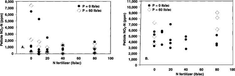 Petiole nitrate-nitrogen (NO3-N) levels at harvest, with phosphorus (P) and nitrogen (N) applied at different rates, in (A) 1998 and (B) 1999.