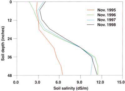Average soil profile salinity.