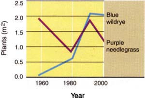 Changes in native blue wildrye (Elymus glaucus) density on 10 permanent transects located under blue oak (Quercus douglasii) canopy and changes in native purple needlegrass (Nassella pulchra) density on 11 transects in open grassland. Sheep grazing was eliminated in 1958. Transects were sampled in 1959, 1979, 1991 and 2000.