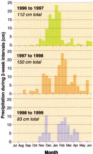 Precipitation at HREC from 1996 to 1999.