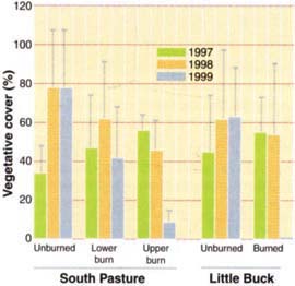 Barb goatgrass vegetative cover in burned and unburned sites of Little Buck and South pastures in 1997,1998 and 1999. Lines above bars represent one standard deviation from mean values.
