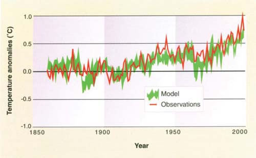 Observed and modeled Northern Hemisphere surface temperature changes. Observations are by standard thermometer readings (see fig. 3). Model is average predicted value of British Meteorological Office's Hadley climate model, based on combination of natural and human-induced climate change forcing mechanisms. Source: Houghton et al. 2001, p. 11.