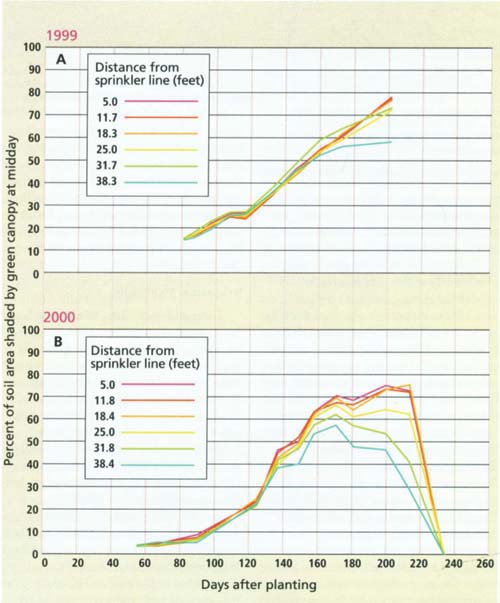 Canopy coverage versus days after planting for (A) 1999 and (B) 2000 sprinkler-line-source experiments.