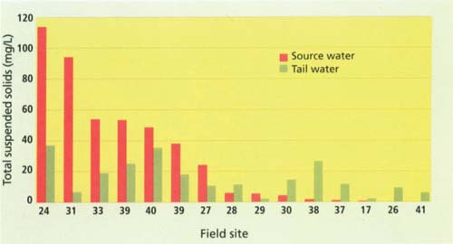 Total suspended solids (TSS, mg/L) for source- versus tail-water samples, 1999-2001. Average TSS for source water was 30.1 mg/L versus 16.2 mg/L for tail water, with no significant difference at P > 0.17.