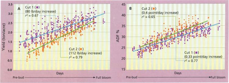 Relationship between (A) alfalfa yield and (B) acid detergent fiber content (ADF, 100% dry matter), and time of harvest from pre-bud to full bloom for first and second cuttings (over two intermountain locations, 2 years and two varieties). Each vertical column represents 1 day. Lines represent linear regression averaged across locations, varieties and years.