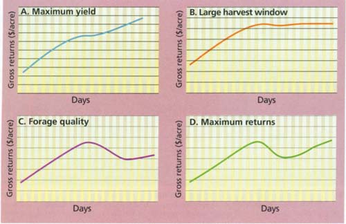 Four typical outcomes of harvest timing on gross returns, based on field data and hypothetical quality-price relationships. These result from changes in the price difference between higher and lower quality hay under various market conditions. (A) Maximum yield produces the greatest returns; (B) with a large harvest window, yield and quality equalize after a certain point; (C) high forage quality produces the greatest return, then profitability rapidly, declines; and (D) two optimum points of return — quality, followed by yield. Each vertical column represents 1 day.