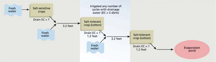 A model drainage-water reuse system for economically productive crops (EC = electrical conductivity).