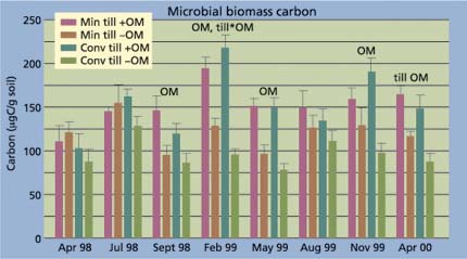 Soil microbial biomass carbon (MBC) in the 0-to-6-inch layer of soil. Treatment effects are labeled for each sampling date when the main effects of tillage (till) or organic matter (OM) or their interaction (till*OM) was significant at P ≤ 0.05. Mean ± SE shown only in the positive direction.