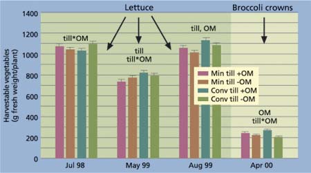 Fresh weight of the harvestable vegetables. Treatment effects are labeled for each sampling date when the main effects of tillage (till) or organic matter (OM), or their interaction (till*OM) was significant at P ≤ 0.05. Mean ± SE shown only in the positive direction.