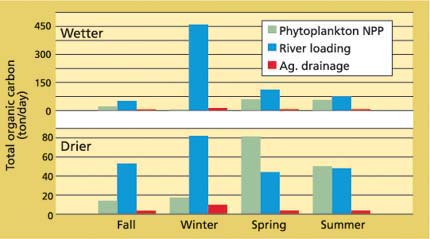 Phytoplankton net primary productivity (NPP), river loading and agricultural drainage make up most of the bulk organic-matter supply. The values shown here have been corrected for losses due to lack of bioavailability and respiration, and are therefore a more realistic comparison of the food value for consumer organisms than the bulk data of figure 3. Phytoplankton provides a significant source especially in spring and summer, a critical period for populations of many fishes and invertebrates.