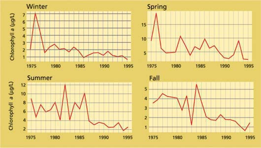 Average chlorophyll a, and therefore phytoplankton biomass, is highly variable from season to season and year to year in the Delta, but in general it has been decreasing since at least the 1970s. Summer chlorophyll, in particular, decreased markedly after the Asian clam, Potamocorbula amurensis, invaded in 1986; the clams feed most actively during summer.